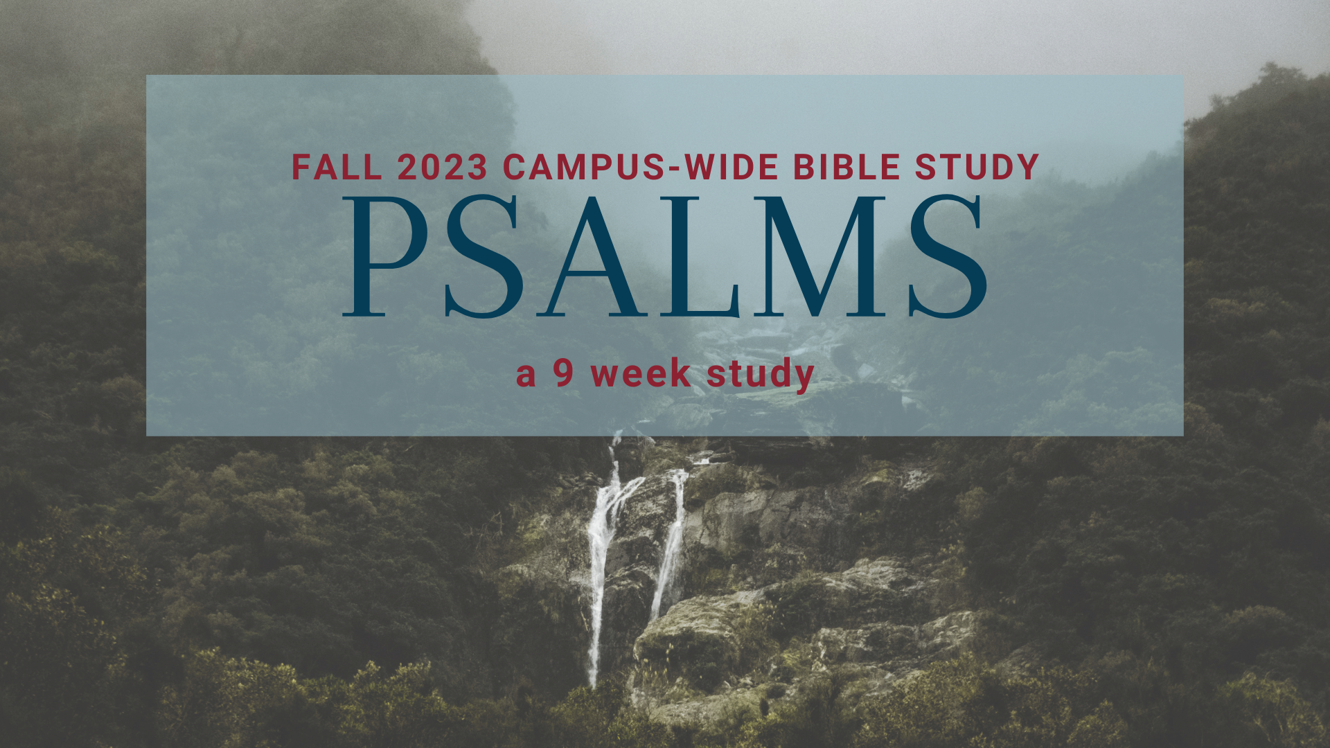 Psalms 2023
