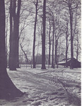 d.i.s.: Vol 12, No. 3