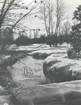 d.i.s.: Vol 13, No. 3