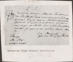 Folder 1: Gymnasium (High School) Certificate (test 1) by Albertus C. Van Raalte