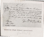 Folder 1: Gymnasium (High School) Certificate (test 2) by Albertus C. Van Raalte