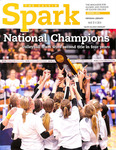 Spark: Spring, 2014
