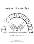 Under The Bridge - vol. 3, issue 2 by Tim Hendrickson